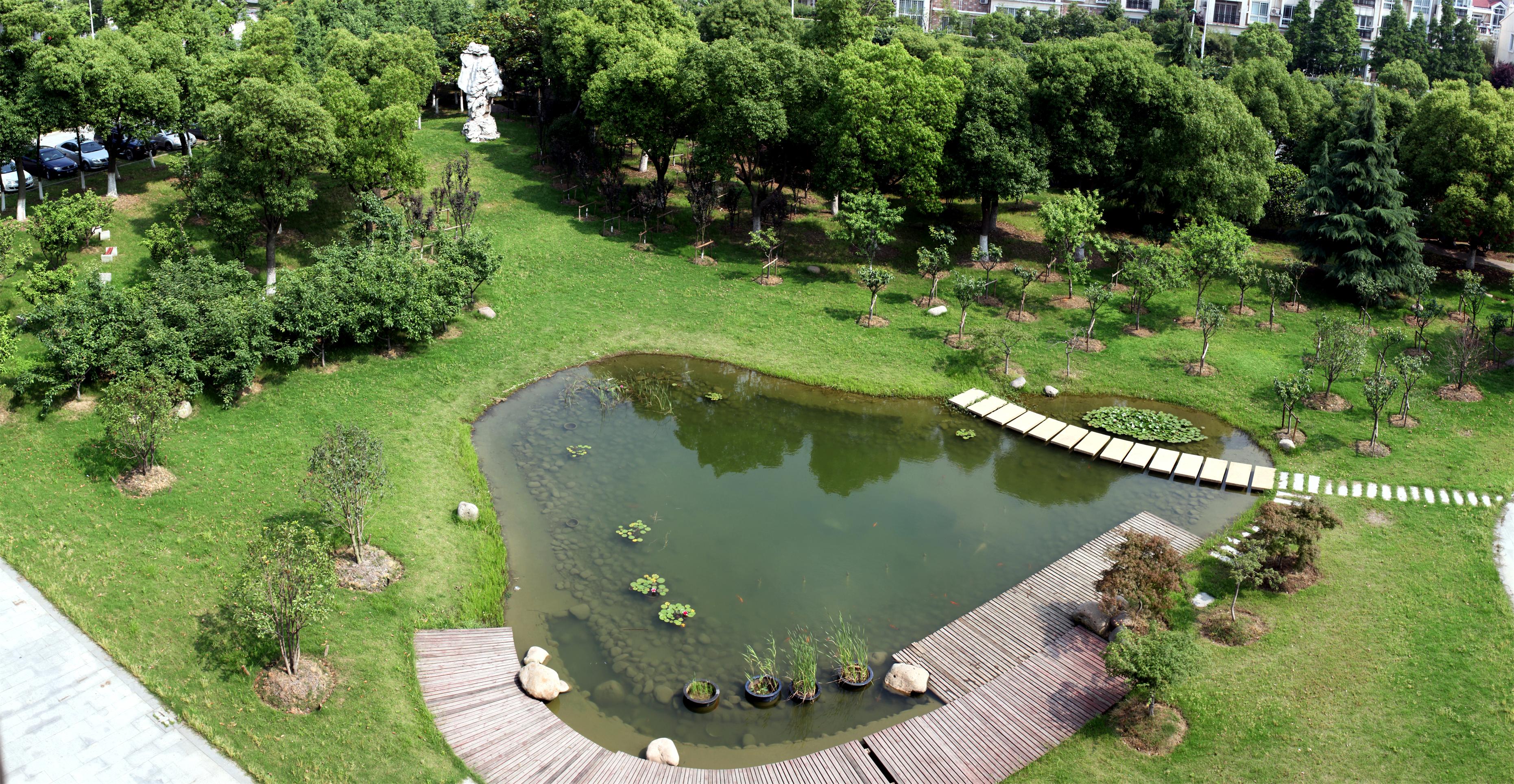 校园池塘_魅力校园_学校概况_苏州大学附属中学